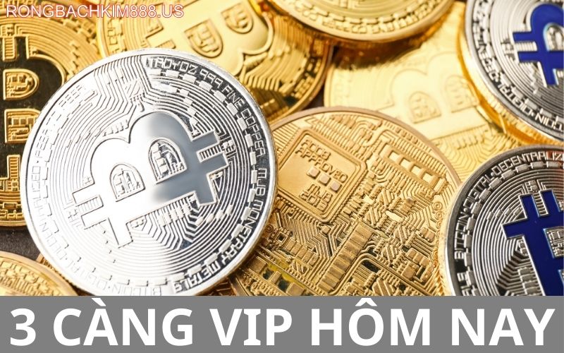 3 càng vip hôm nay