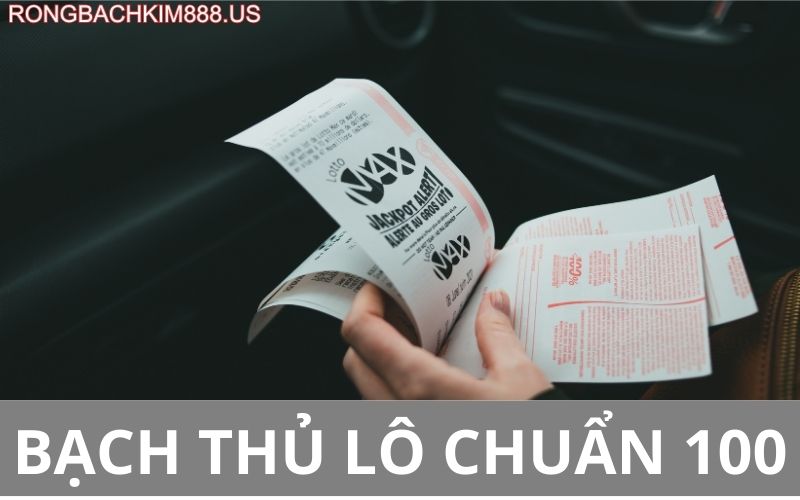 Bạch thủ lô chuẩn 100