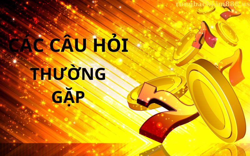 Câu hỏi thường gặp