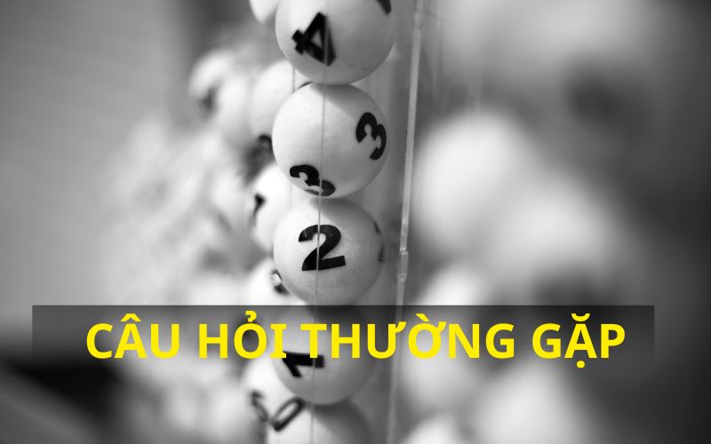 Câu hỏi thường gặp