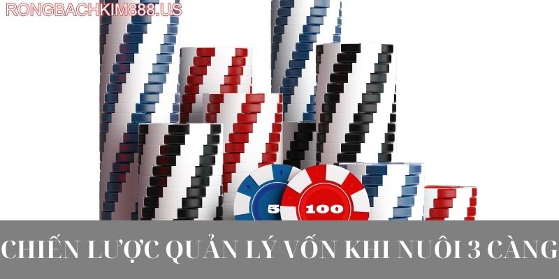 Chiến lược quản lý vốn khi nuôi 3 càng
