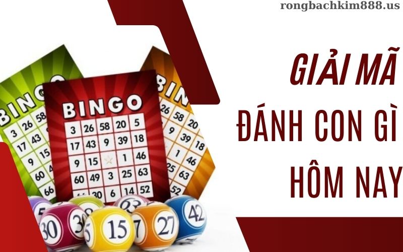 Giải mã hôm nay đánh con gì
