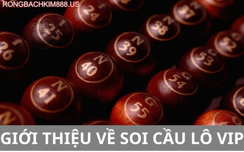 Giới thiệu về soi cầu lô vip