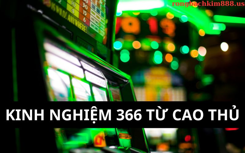 Kinh nghiệm 366 từ cao thủ