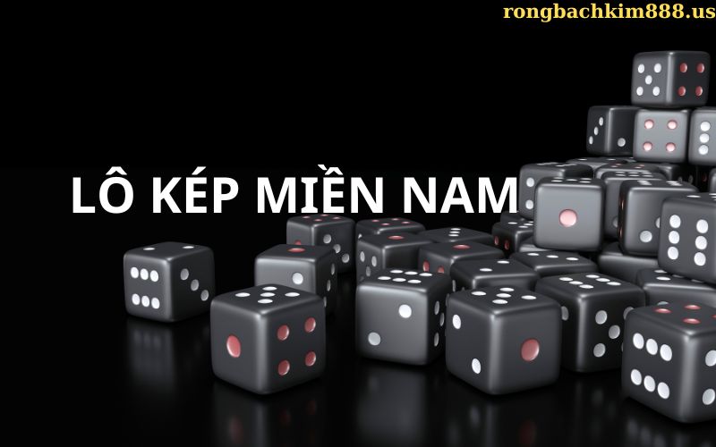 Lô kép miền nam
