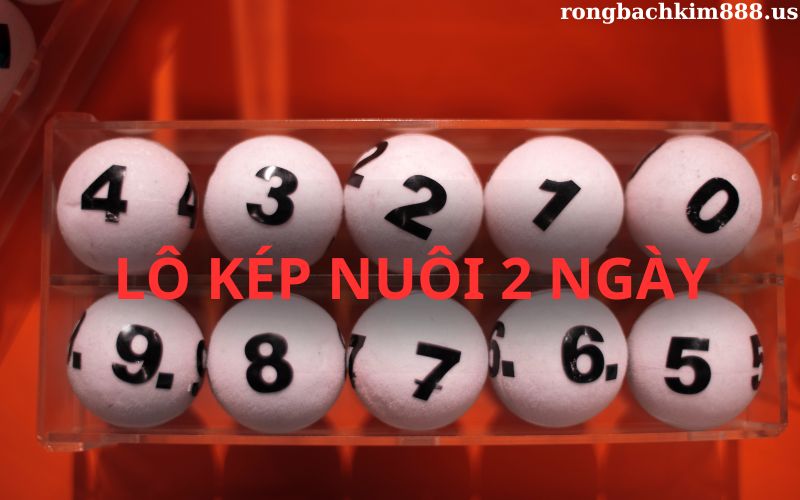 Lô kép nuôi khung 2 ngày