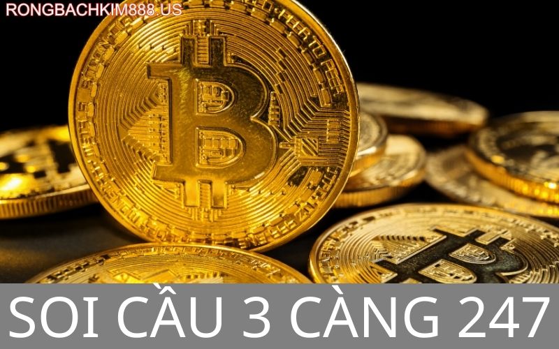 Soi cầu 3 càng 247