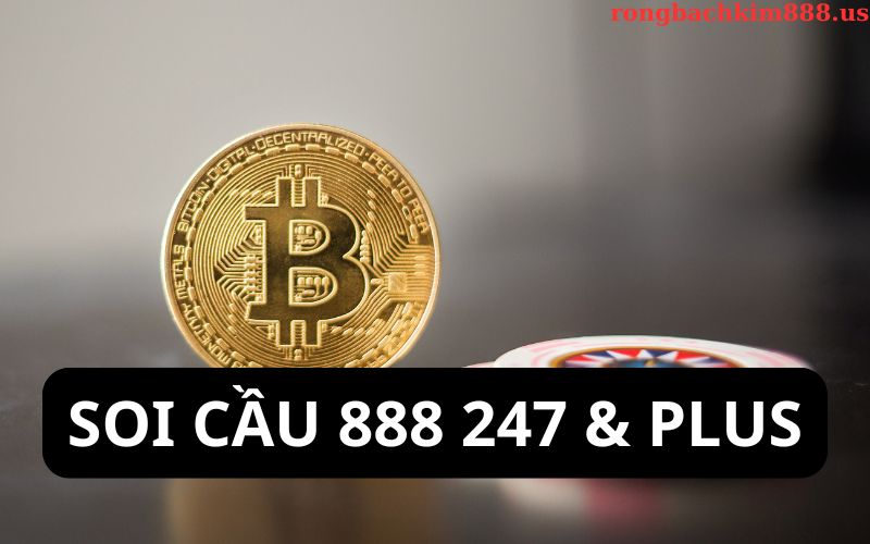 So sánh soi cầu 888 247 và soi cầu 888 plus