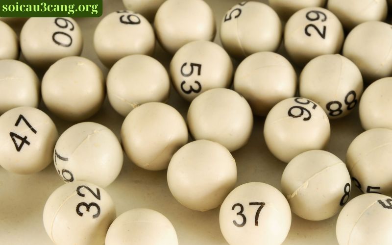 Soi Cầu 555 Có Đáng Tin Cậy Không